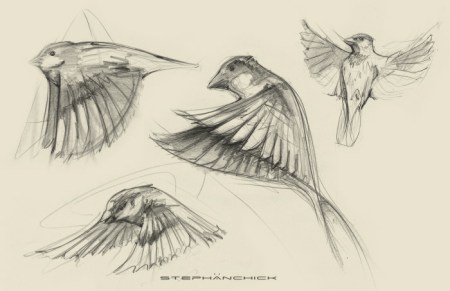 sparrow study