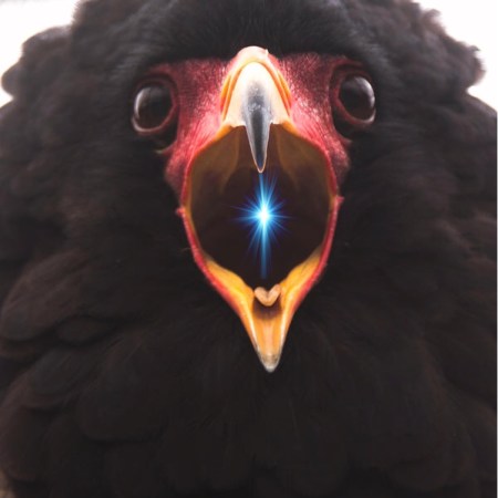 935F9DA4-4AD4-4B8E-9113-14DA142903CB